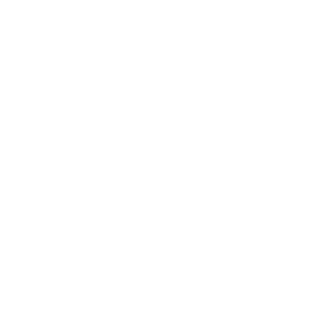 nl.media – Nicole Laroche